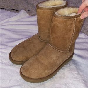 Mid Calf Chestnut Ugg Boots